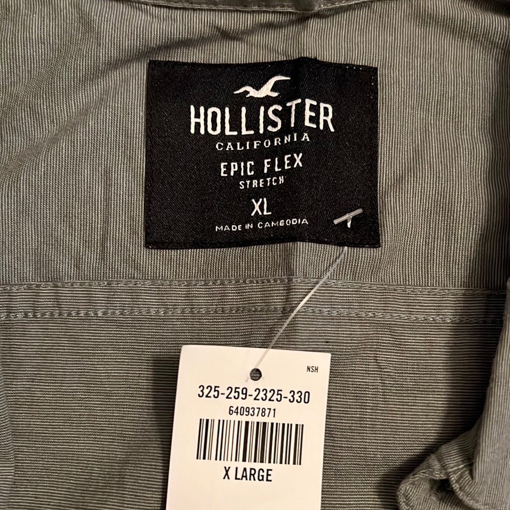 hollister button down